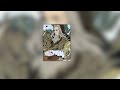 Silo Meaningful Love Slowed Reverb Ft Zaheer 