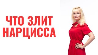 видео: Что злит нарцисса картинка: Что злит нарцисса
