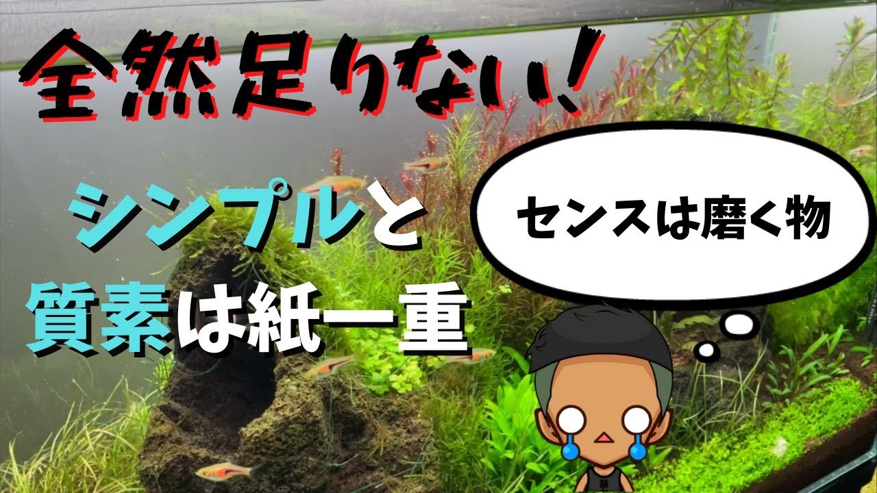 ジブリ水槽 アクアリウムでジブリの世界観立ち上げてみた Youtube ジブリ水槽 アクアリウムでジブリの世界観立ち上げてみた Youtube