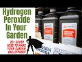 Hydrogen peroxide in the garden  20 benefits covered  from plant health to super sized harvest