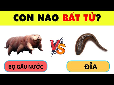 Video: Câu đố về đột biến dịch chuyển khung là gì?