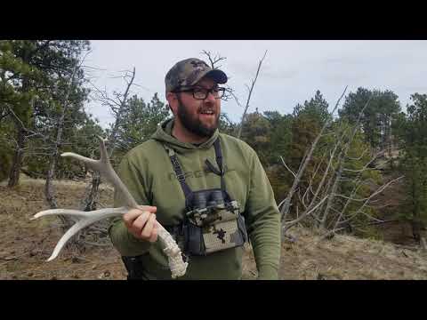 Shed Hunting 2021 Ep 5 | I Lied, Shed Hunting Never Ends in Montana!