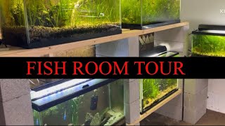 FISH ROOM TOUR #fishroomtour #fishroom #fish