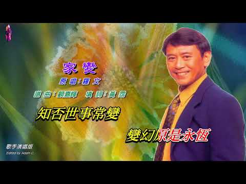 家變   羅文〈歌手演唱版〉