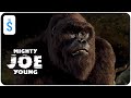 Mighty Joe Young 1998 Scene Joe Trashes The Gala mp3