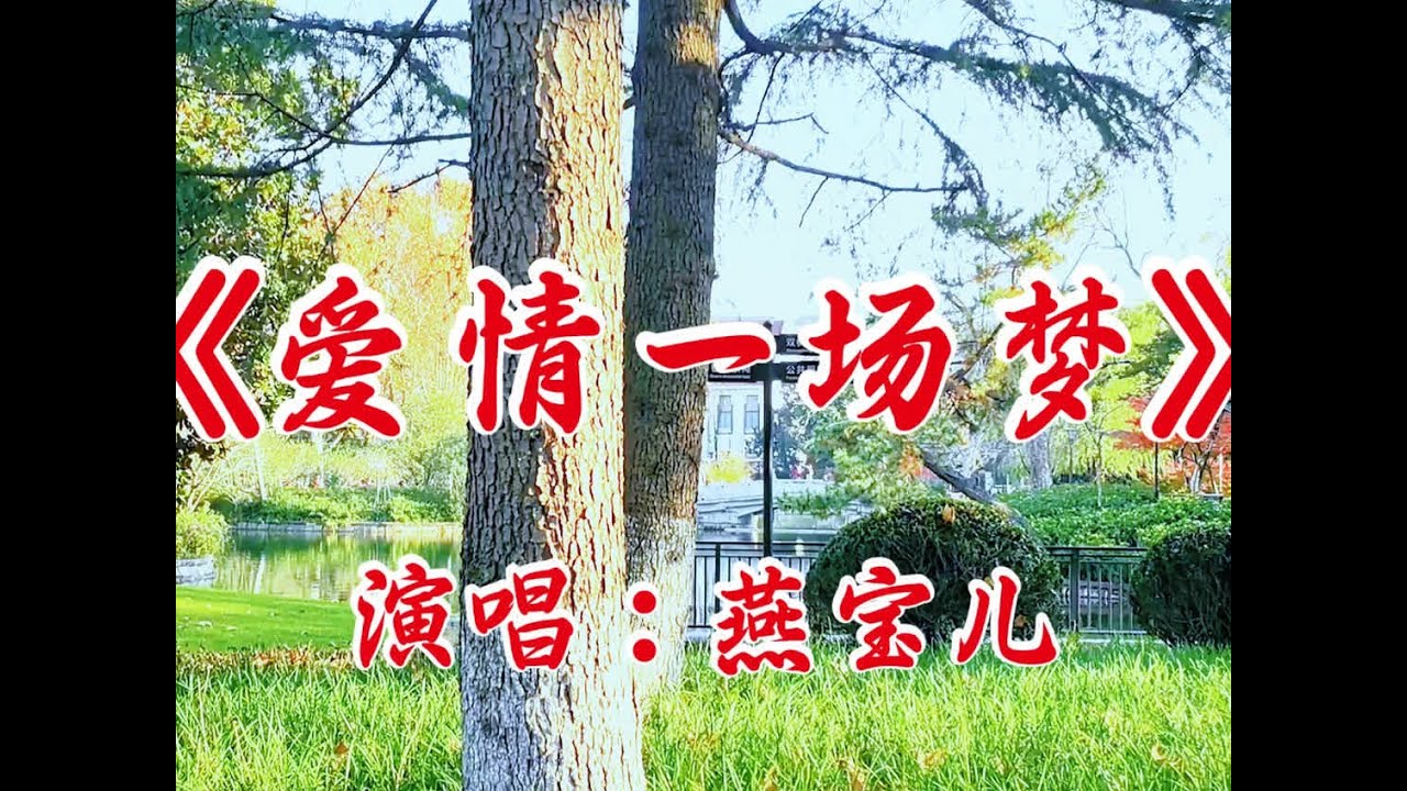 伤感情歌《爱情一场梦》燕宝儿演唱，歌声凄婉动人，太好听了#百听不厌 #音乐分享 #抖音热歌 #音乐推荐 #伤感音乐