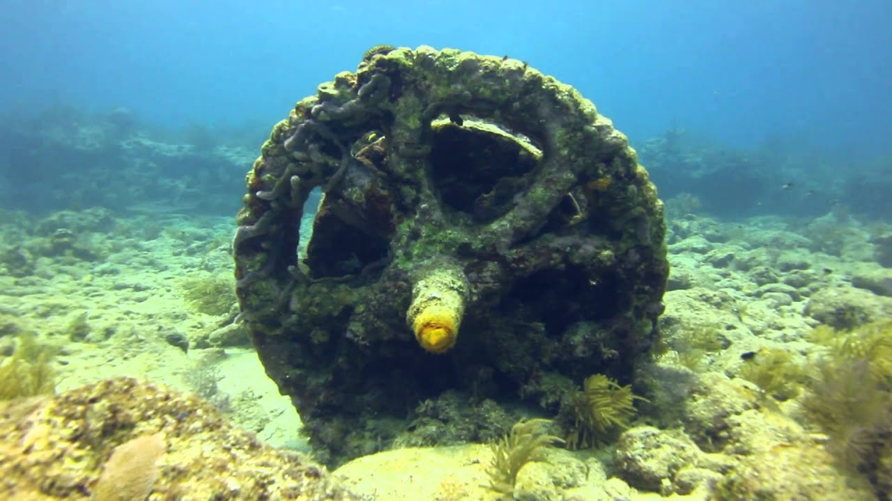 Winch Hole Molasses Reef YouTube