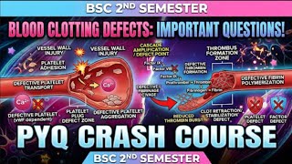Nep 2020 important question BSc botany zoology and Vbspu carbohydrates 2 ne semester pyq
