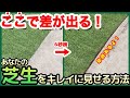 【褒められる芝生】芝生のキワ処理ってそんなに簡単にできるの！？暑くなる前にラクな道具と方法を見つけましょう！