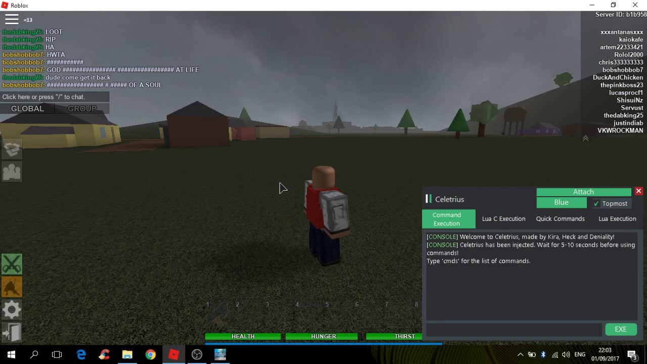 cheapest script executor roblox