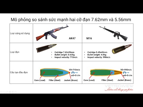 Video: Sấm sét của tự do