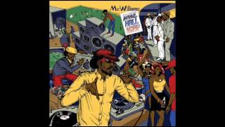 Video thumbnail of "Mr. Williamz - Dancehall Hobby"