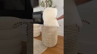 Espejos Decorativos Ónhogar