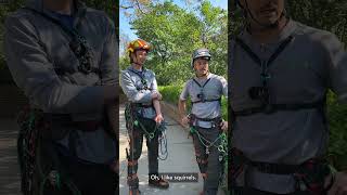 This or That: Tree Care Edition! #shorts #centralpark