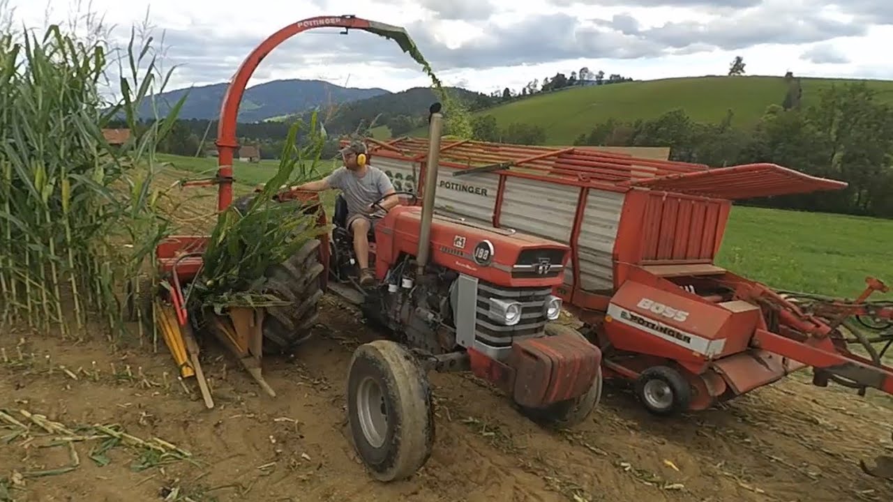Maishäckseln 2021 / Massey Ferguson 188 / Pöttinger Mex