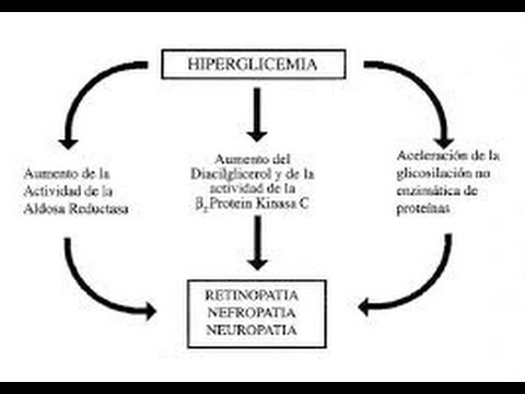 fenomenos de glucosilacion de proteinas YouTube