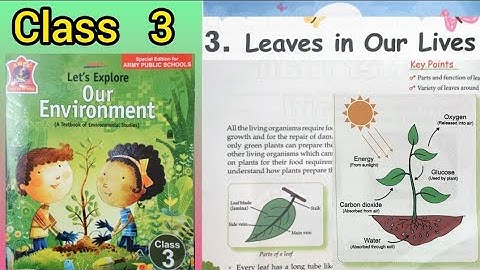 LEAVES IN OUR LIVES - Class 3 (Chapter 3) -# Lets explore our environment # E.V.S# APS