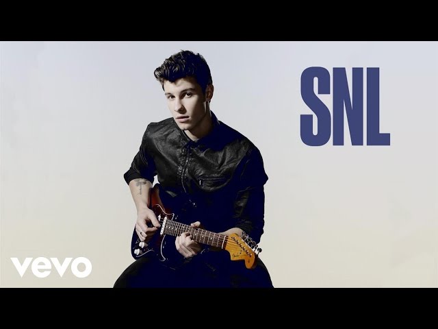 Shawn Mendes - Treat You Better (Live on SNL) class=