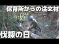 山のヒノキが、保育所の遊具になる日｜林業夫婦の仕事