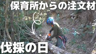 山のヒノキが、保育所の遊具になる日｜林業夫婦の仕事