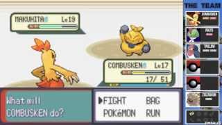 Pokémon Emerald - Gym Leader Brawly