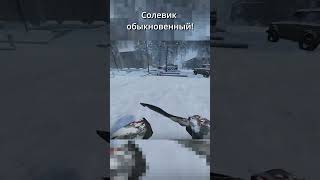 Солевик обыкновенный! Вот и Новый ГОД! #gaming #exbo #игры #newyear #мем #stalcraft #games