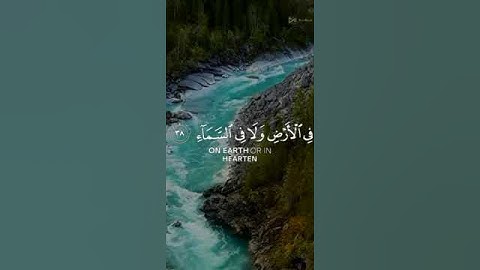 ربنا إنك تعلم ما نخفي وما نعلن | سلمان العتيبي |سورة إبراهيم