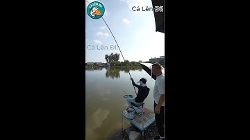 Giật Được Cá Siêu Khủng… Và Cái Kết Khiến Chủ Hồ Tái Mặt Khi Thu Lưới! 😱🎣