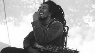 Bob Marley  Ambush In The Night dub