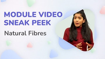 Natural Fibers - Sneak Peek Video