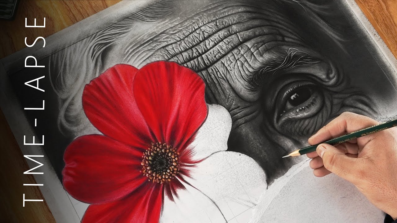 From Lines to Life – Portrait Drawing Timelapse - YouTube