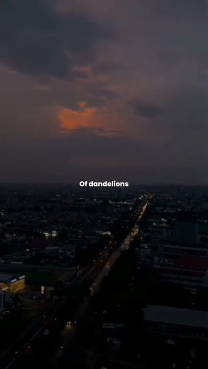 Story lagu Dandelions #3 #overlay #lirik #shorts #storywa