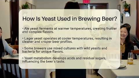 How Is Yeast Used in Brewing Beer? | The Pint Guy