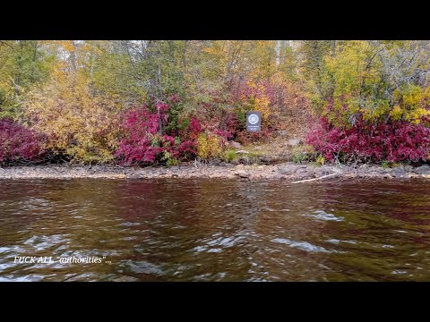 I Survived Dead Man's Island 🙄, To The Dismay Of government PARASlTES. Part 2 in the description👉...