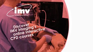 Where Excellence in Veterinary Education Continues Online!  - IMV imaging's new online CPD system