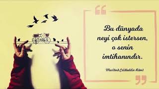 Resimli Hz. Mevlana 2