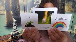 Spirit Baby: Bee, Lizard & Rainbow Signs 🐝🦎🌈