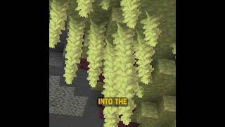 Another Minecraft Snapshot Just Dropped!