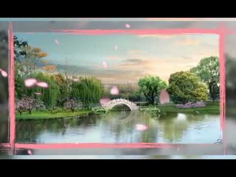 اليوم دعنا نتفق روضة الحاج