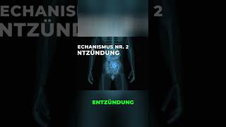 Blasenprobleme  Nerven &amp; Entzündung   Ursachen verstehen