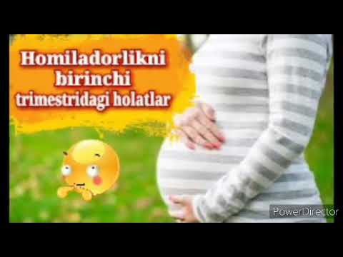 Video: Homiladorlik nima?