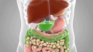 3 Foods That Actually Heal Your Liver… #2 Is Shocking!
