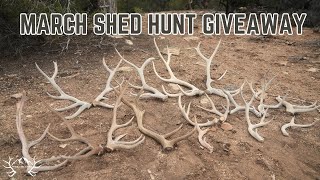 MARCH SHED HUNT GIVEAWAY 2026
