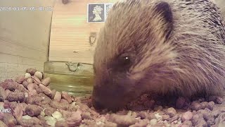 Má Mũm Mĩm Chubby Cheeks