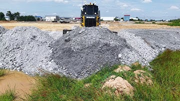 Amazing! Land Clearing in the Forest SHANTUI Dozer with Dump Truck Support