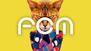 Kitty & me [Royalty Free BGM]