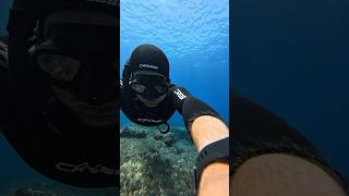 Schon mal in der Cala del Toro geschnorchelt? 🌊🐠 #freitauchen