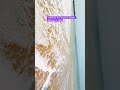 #youtubeviralvideo #shortsvideo #viralshortsvideo #goviral #youtubeshort #youtubers #ytshorts