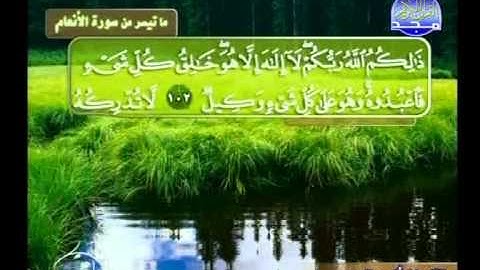 ما تيسر من سورة الانعام ــ  اكرم الحويس