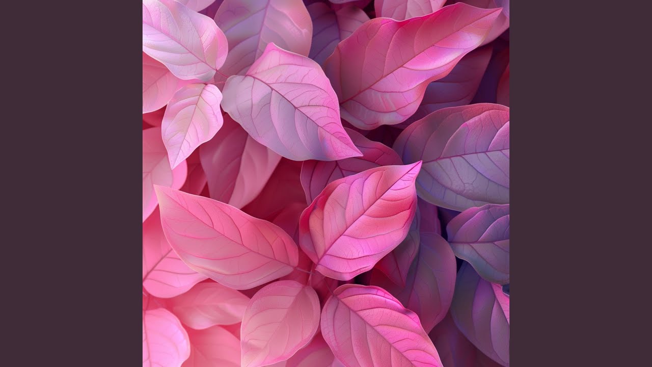 Watch Vivid Pink on YouTube Watch Vivid Pink on YouTube